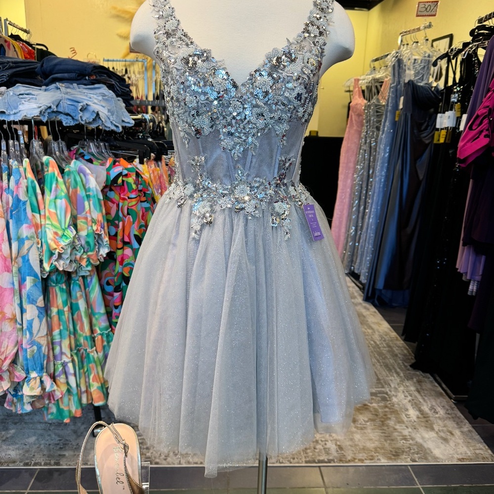 Silver Sequin Embellished Dress